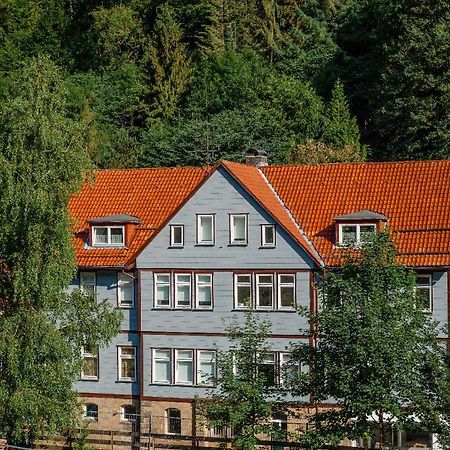 Fewo-Lerbachtal Osterode am Harz Eksteriør billede