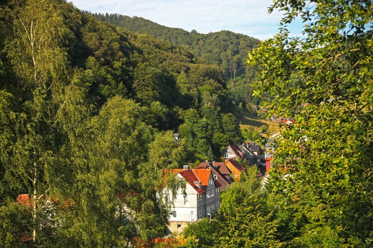 Fewo-Lerbachtal Osterode am Harz Eksteriør billede