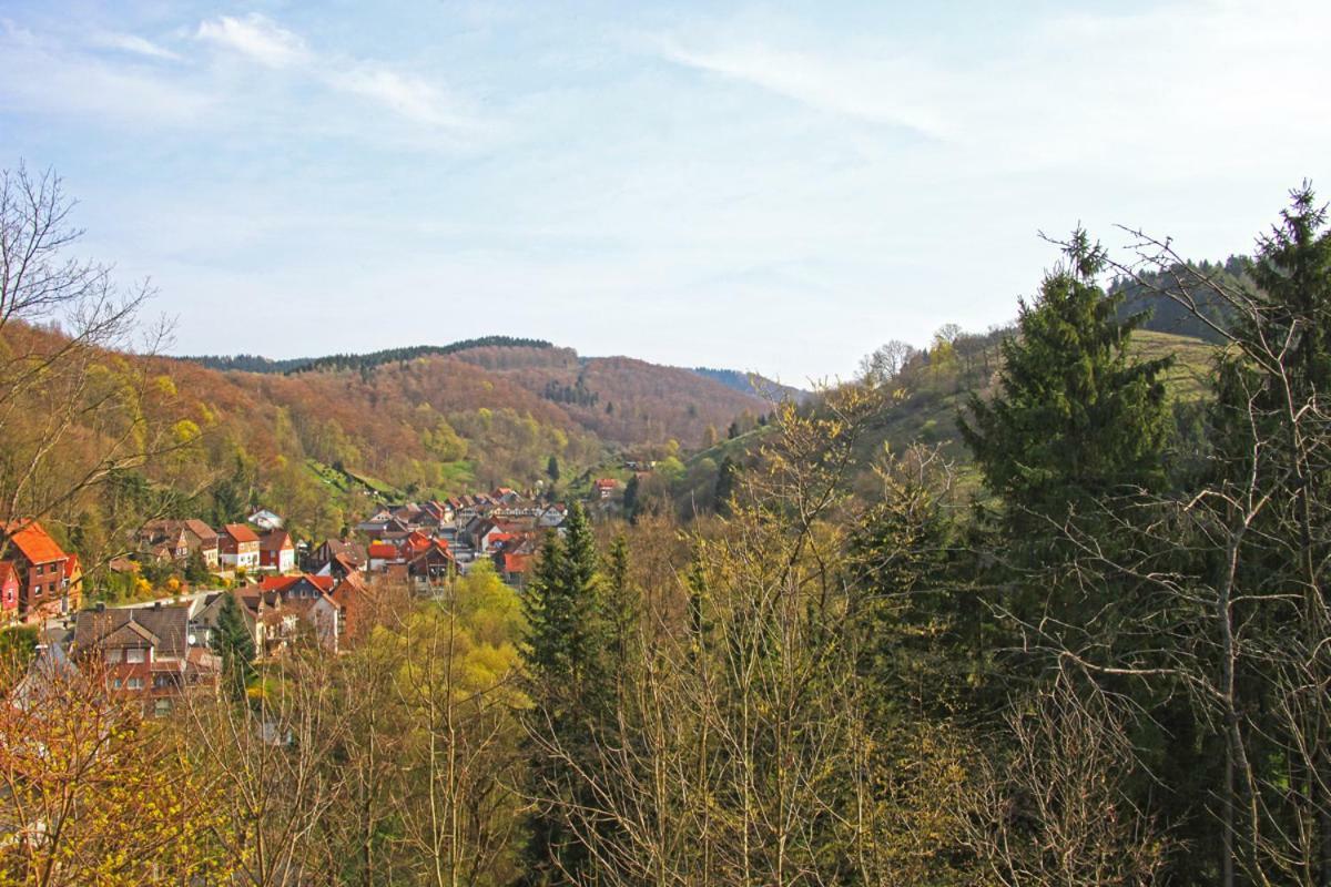 Fewo-Lerbachtal Osterode am Harz Eksteriør billede
