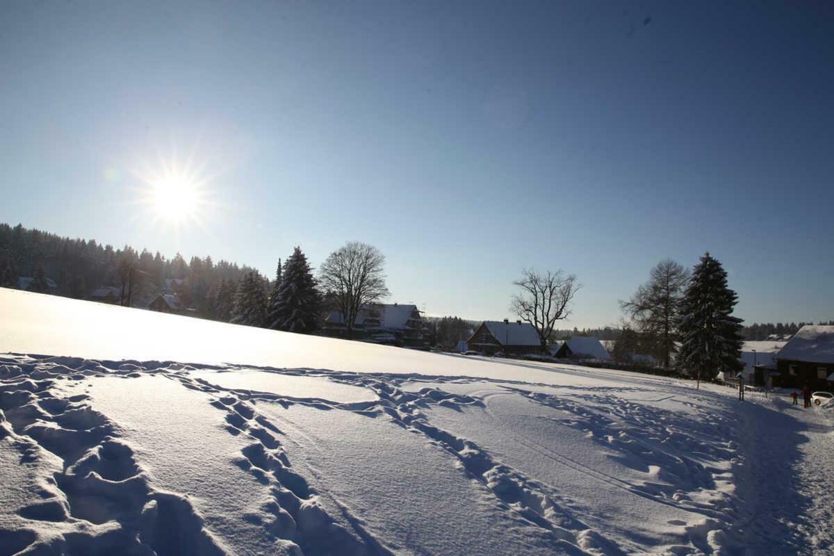 Fewo-Lerbachtal Osterode am Harz Eksteriør billede